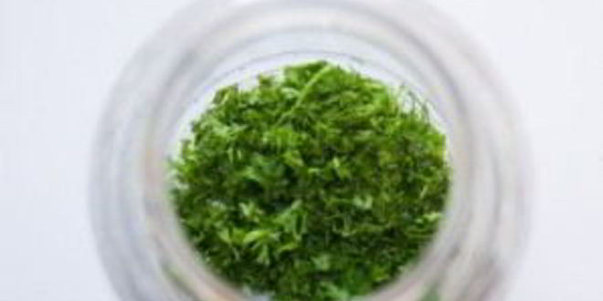 Рецепт маринованного перца без закатки