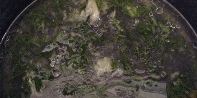 Рецепт маринованных баклажанов в мультиварке