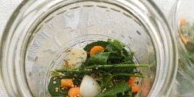 Рецепт маринованных корнишонов на зиму