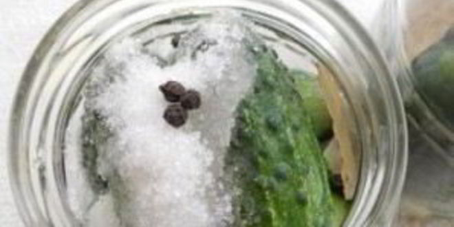 Рецепт маринованных корнишонов на зиму
