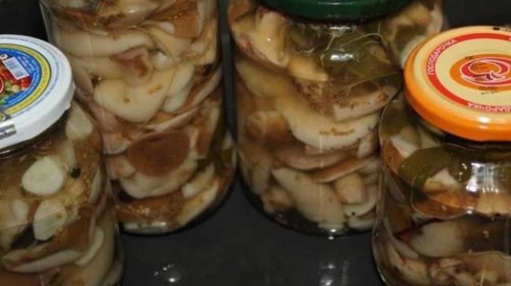Как приготовить маринованные маслята