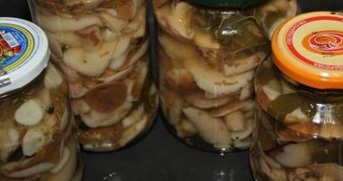 Рецепт Маринованных маслят