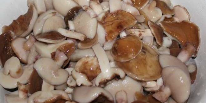 Рецепт маринованных маслят