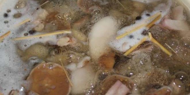 Рецепт маринованных маслят