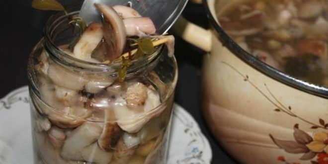 Рецепт маринованных маслят