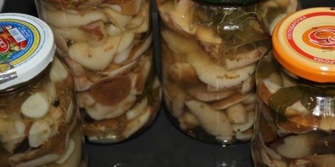 Рецепт маринованных маслят