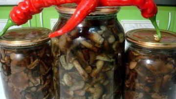 Рецепт Маринованных опят с гвоздикой
