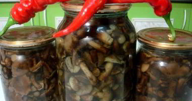 Рецепт Маринованных опят с гвоздикой