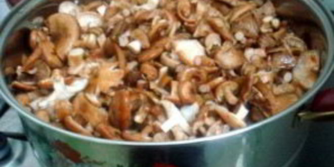 Рецепт маринованных опят с гвоздикой