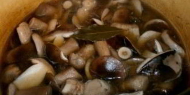 Рецепт маринованных подберезовиков на зиму