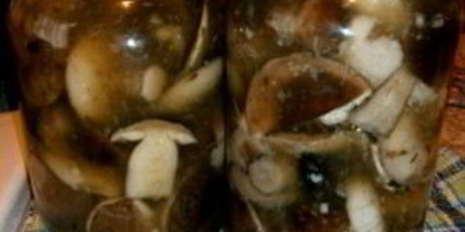 Рецепт маринованных подберезовиков на зиму