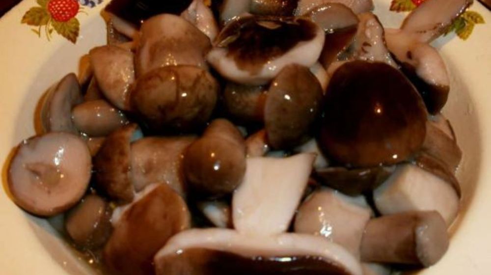 Как приготовить маринованные подберезовики