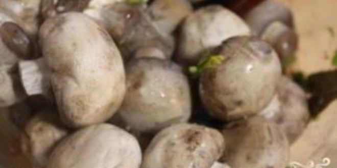 Рецепт маринованных шампиньонов по-корейски