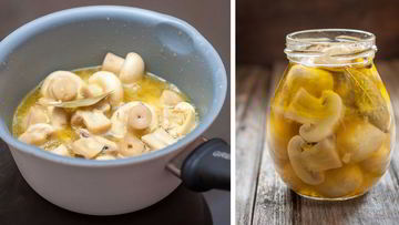 Рецепт Маринованных шампиньонов