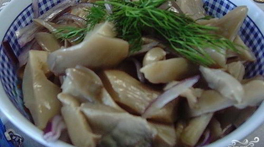 Как приготовить маринованных вешенок на зиму