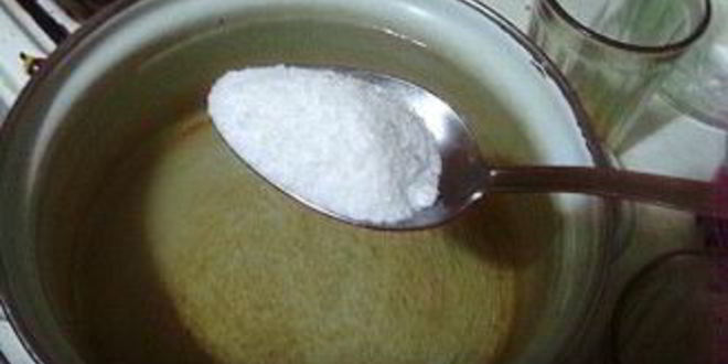 Рецепт маринованных вешенок на зиму