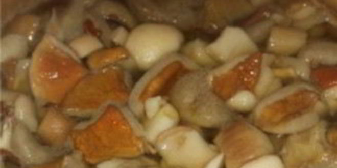 Рецепт моховиков маринованных