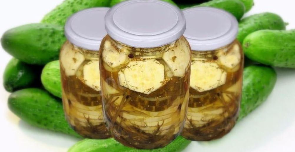 Рецепт маринованных вешенок на зиму