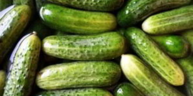 Рецепт огурчиков с кетчупом на зиму