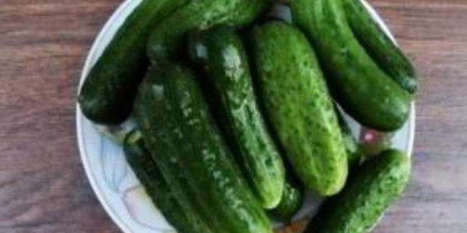 Рецепт огурчиков с кетчупом на зиму