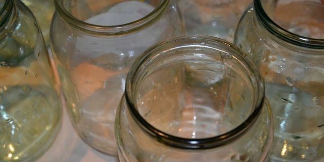 Рецепт острых огурчиков на зиму