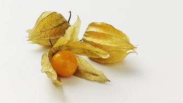 Рецепт Овощного Физалиса на зиму