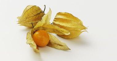 Рецепт Овощного Физалиса на зиму