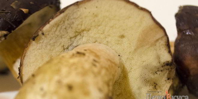 Рецепт польских грибов