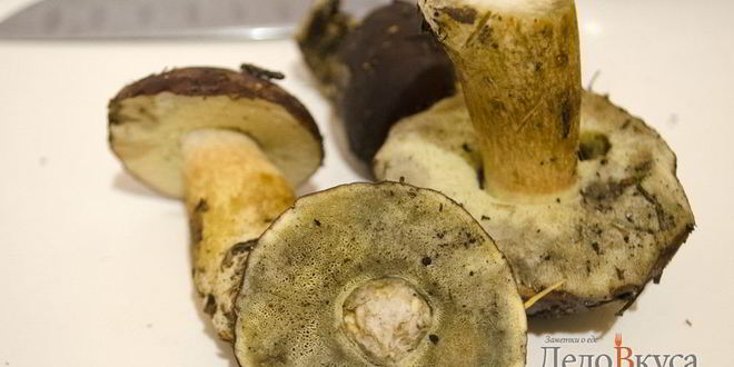 Рецепт польских грибов