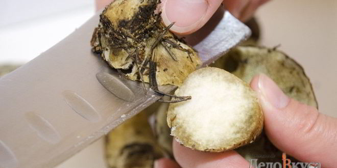 Рецепт польских грибов