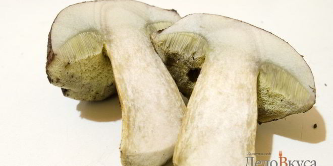 Рецепт польских грибов