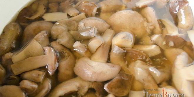Рецепт польских грибов