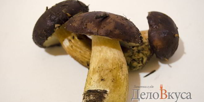 Рецепт польских грибов