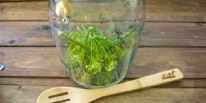 Рецепт помидоров в банках на зиму