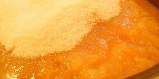 Рецепт яблочного повидла в мультиварке