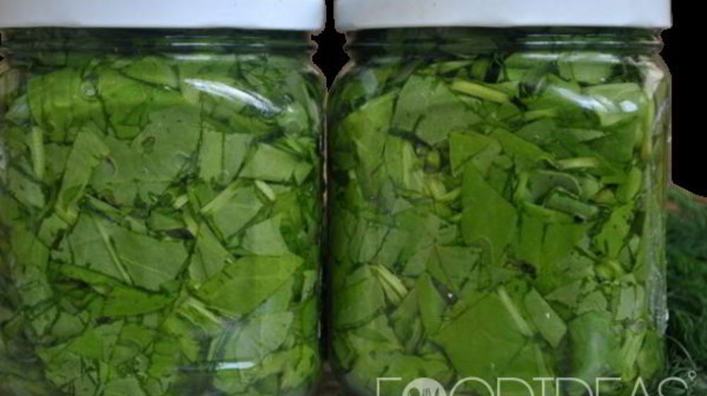 Как приготовить щавель на зиму