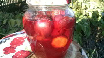 Рецепт Сливы в собственном соку на зиму