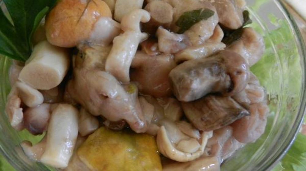 Как приготовить грибы соленые домашние