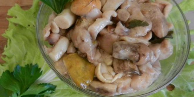 Рецепт грибов соленых домашних