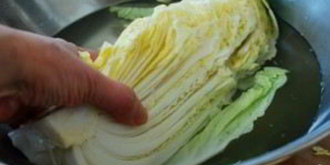 Рецепт капусты соленой по-корейски