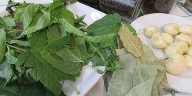 Рецепт консервированных помидоров