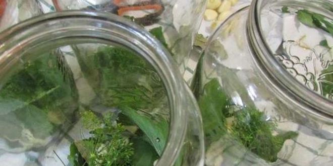 Рецепт консервированных помидоров