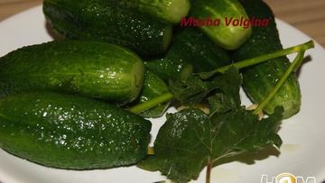 Рецепт Малосольных огурчиков