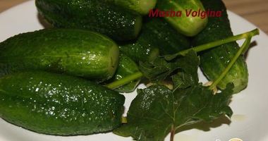 Рецепт Малосольных огурчиков