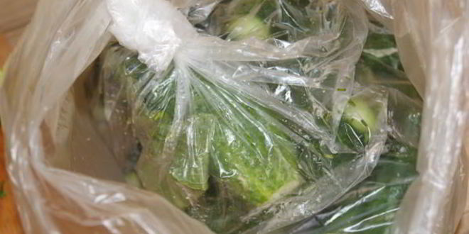 Рецепт малосольных огурчиков