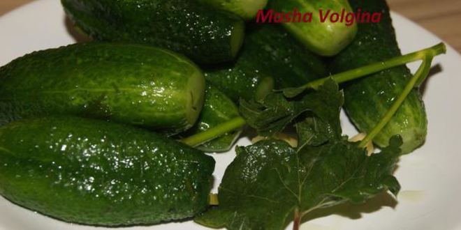 Рецепт малосольных огурчиков