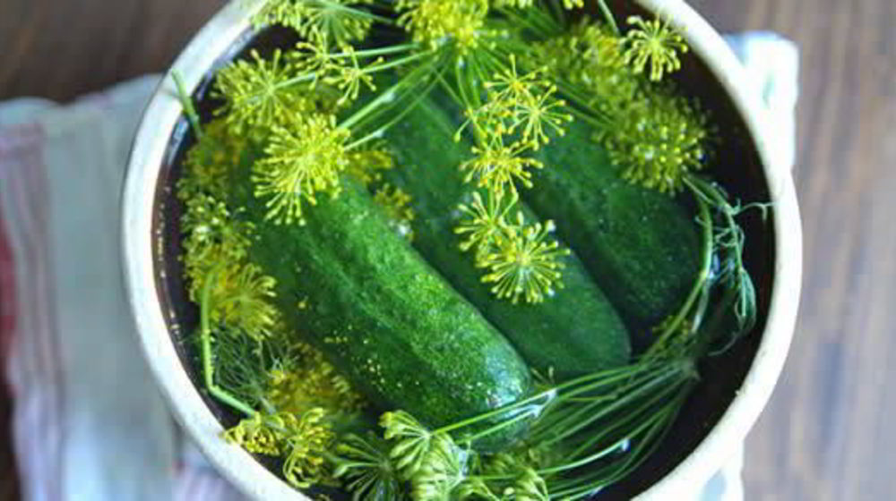 Как приготовить малосольные огурцы с хреном