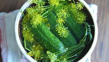 Рецепт Малосольных огурцов с хреном