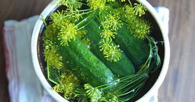 Рецепт Малосольных огурцов с хреном