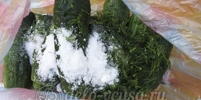 Рецепт малосольных огурцов в пакете